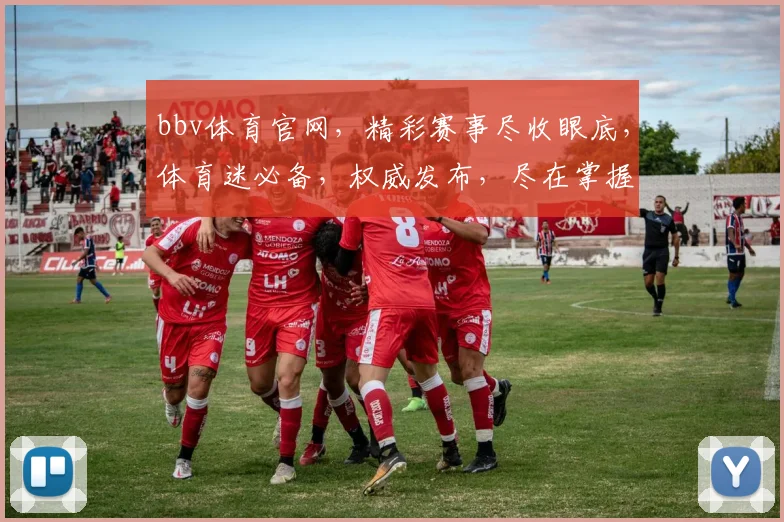 bbv体育官网，精彩赛事尽收眼底，体育迷必备，权威发布，尽在掌握，不容错过
