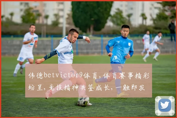 伟德betvictor9体育,体育赛事精彩纷呈,竞技精神共鉴成长,一触即发